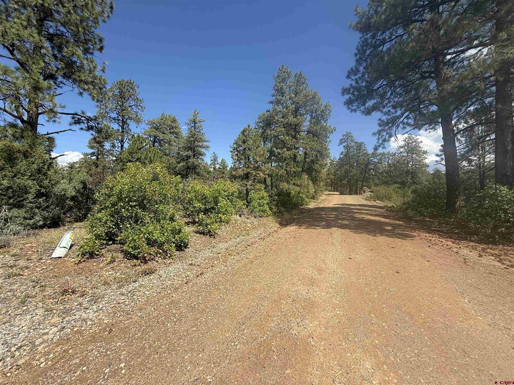 93 & 127 Careys Court Pagosa Springs CO 81147