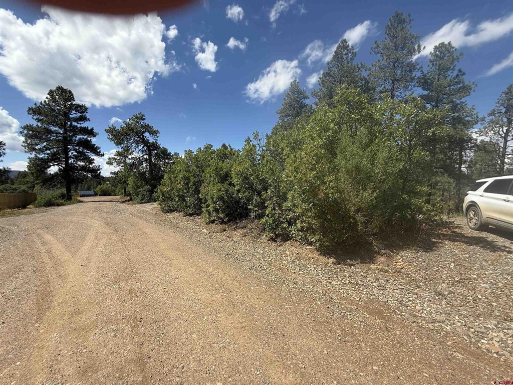 93 & 127 Careys Court Pagosa Springs CO 81147