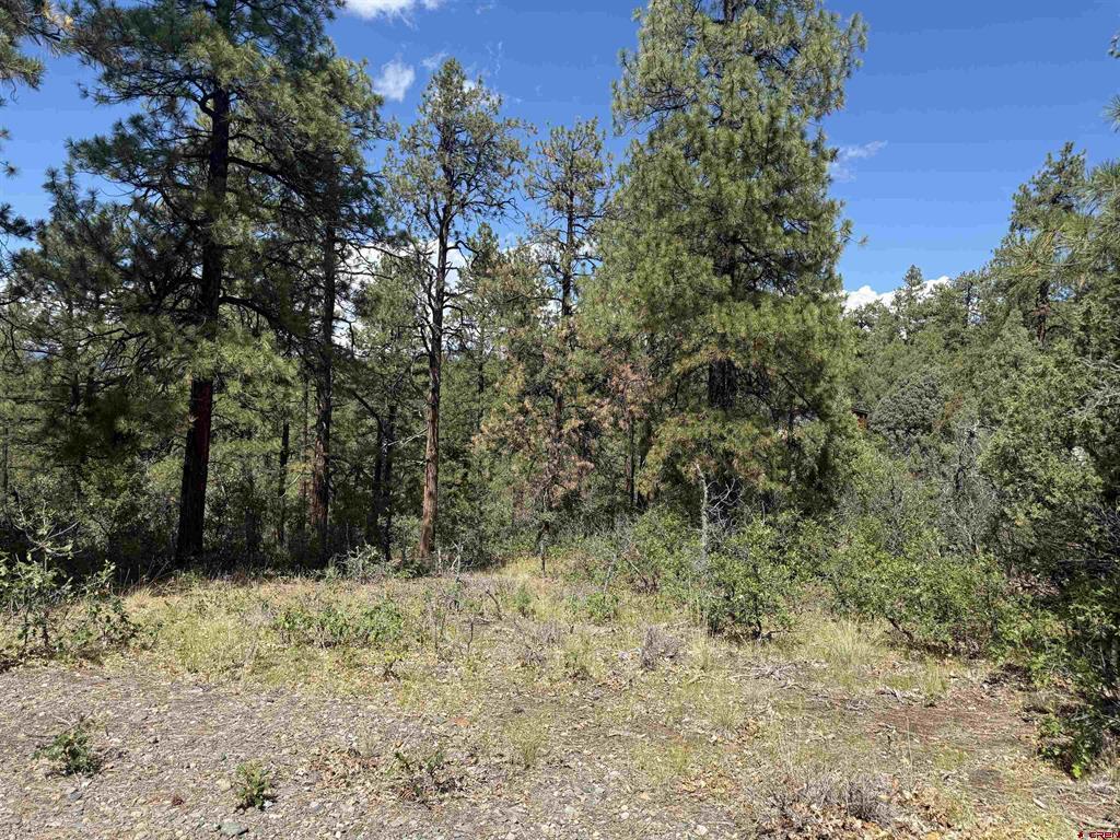 93 & 127 Careys Court Pagosa Springs CO 81147