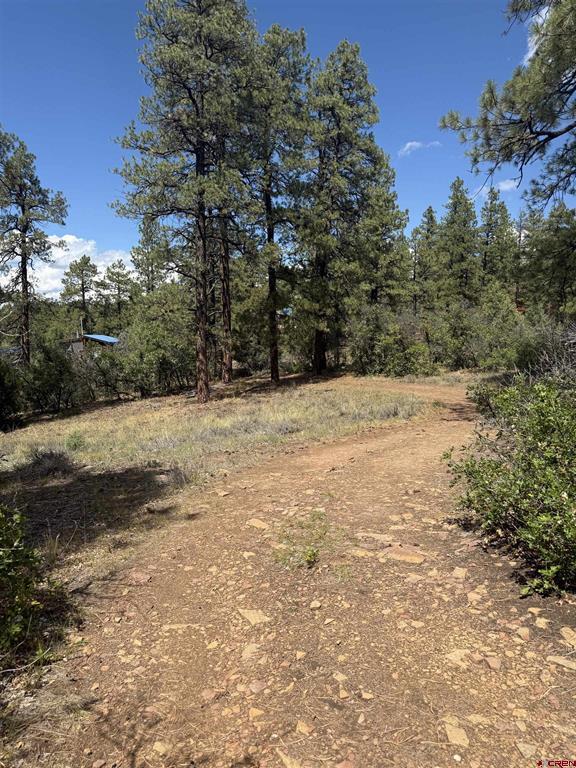 93 & 127 Careys Court Pagosa Springs CO 81147