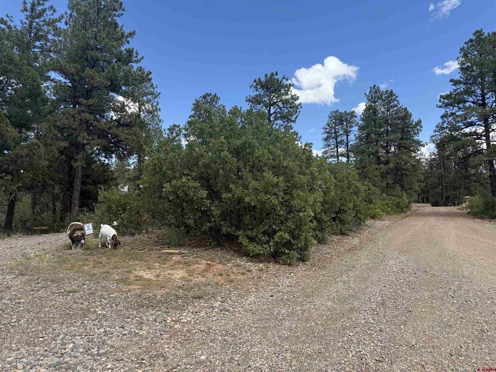 93 & 127 Careys Court Pagosa Springs CO 81147