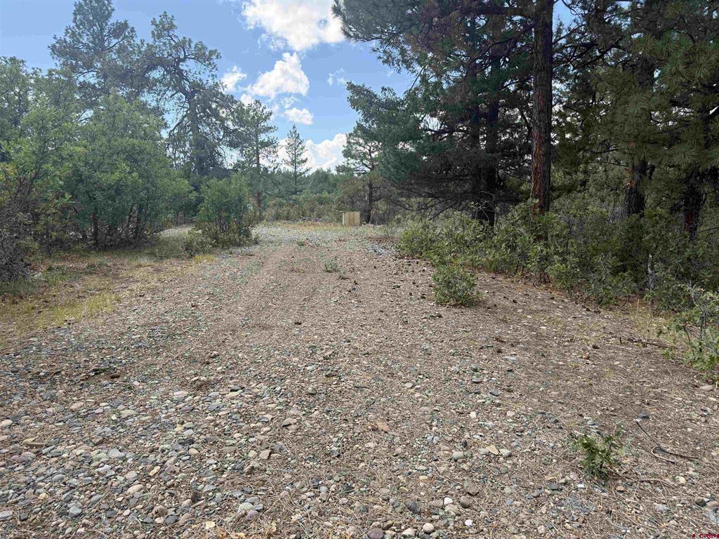 93 & 127 Careys Court Pagosa Springs CO 81147