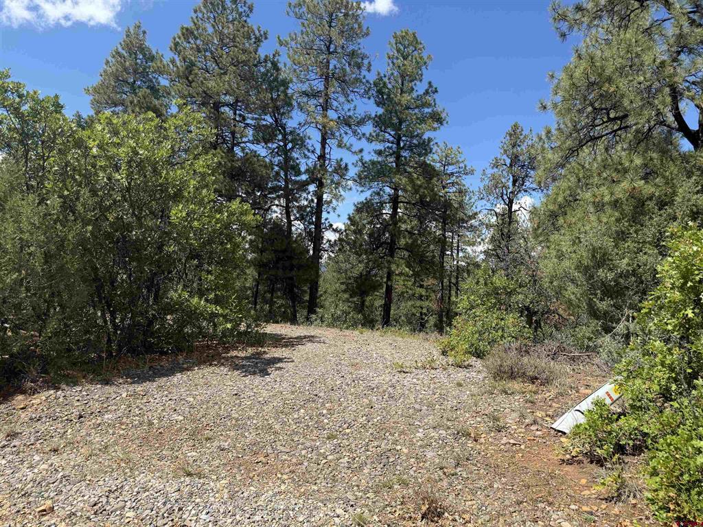 93 & 127 Careys Court Pagosa Springs CO 81147