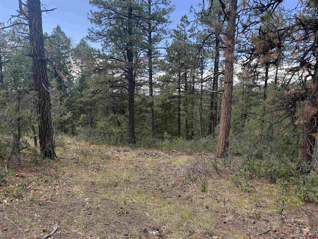 93 & 127 Careys Court Pagosa Springs CO 81147