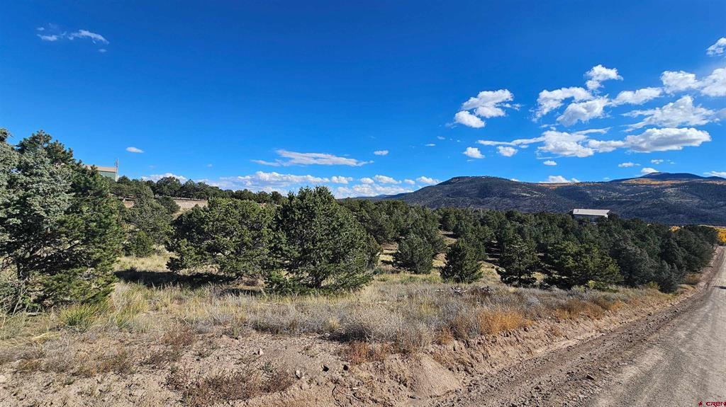 549 Milner Pass Road South Fork CO 81154
