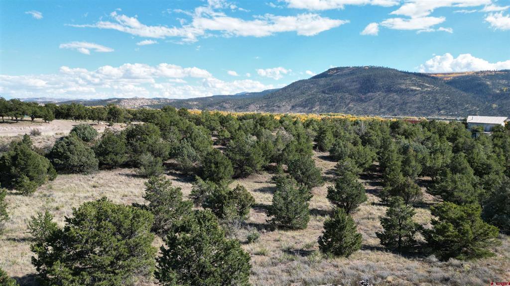 549 Milner Pass Road South Fork CO 81154