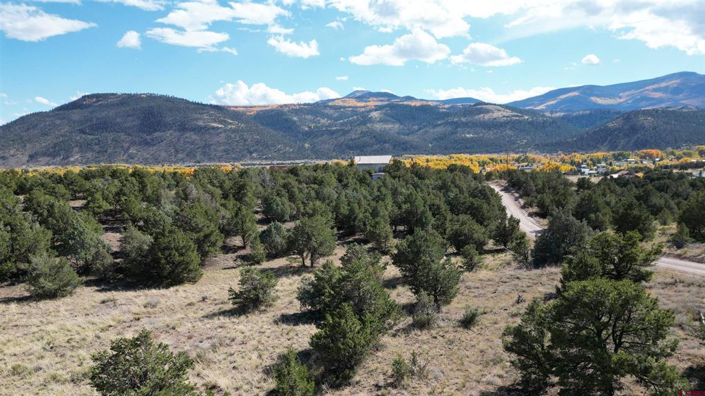 549 Milner Pass Road South Fork CO 81154