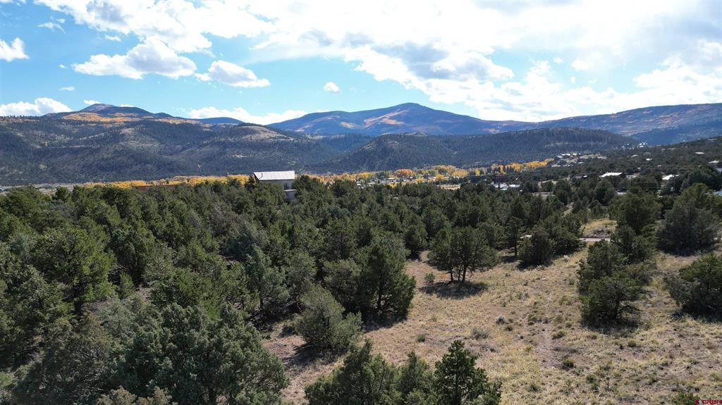 549 Milner Pass Road South Fork CO 81154