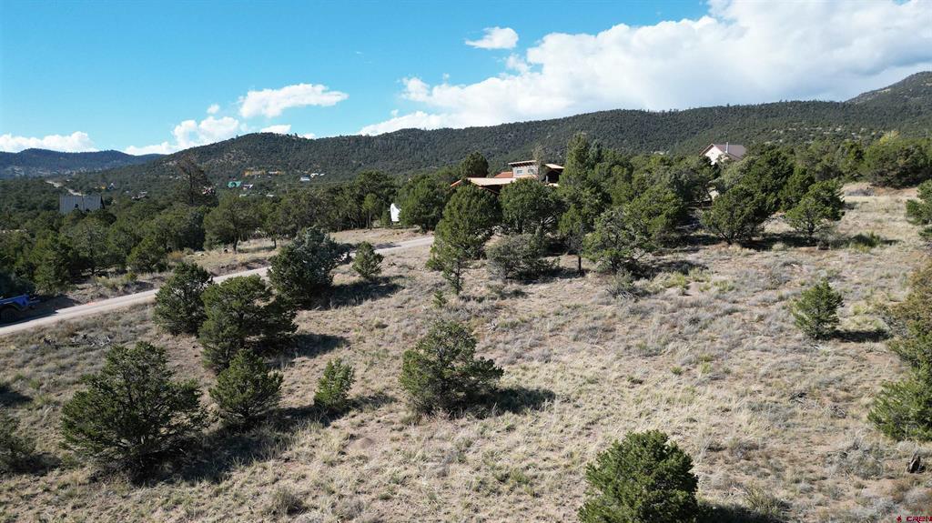 549 Milner Pass Road South Fork CO 81154
