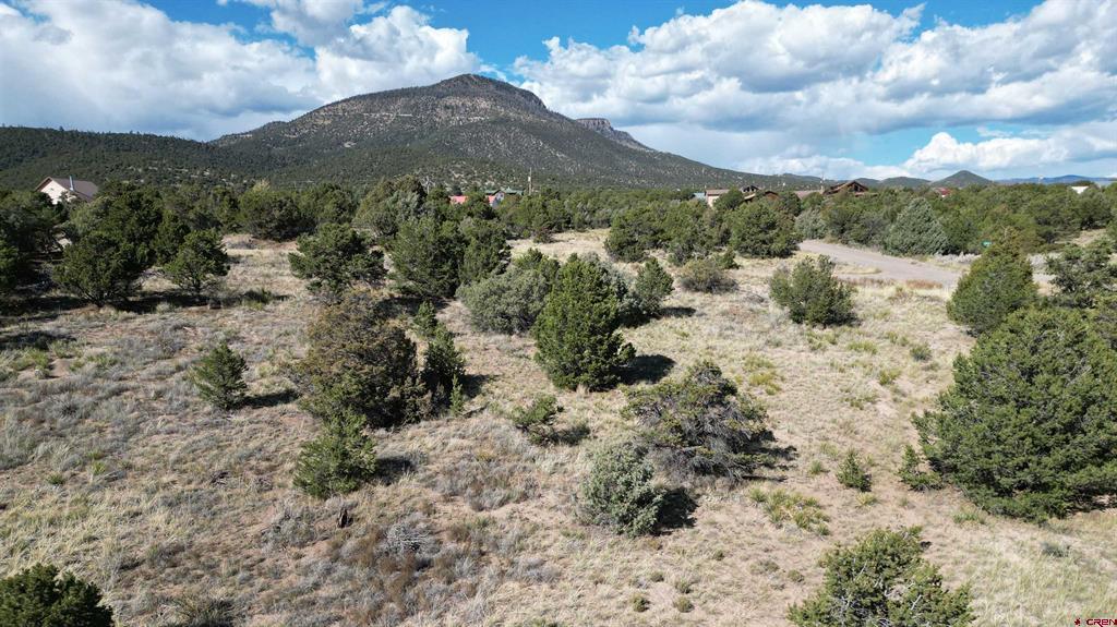 549 Milner Pass Road South Fork CO 81154