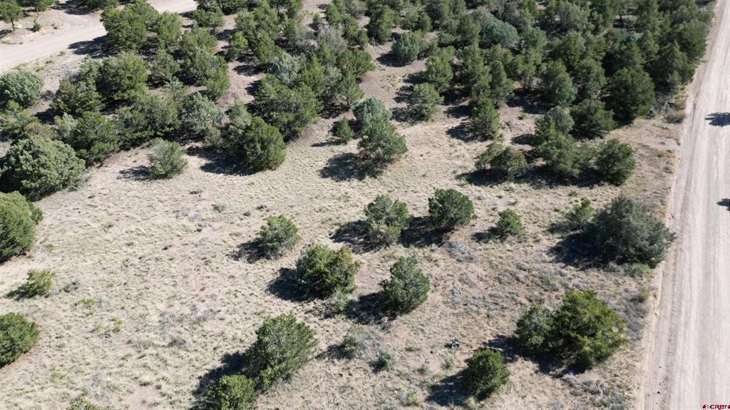 549 Milner Pass Road South Fork CO 81154