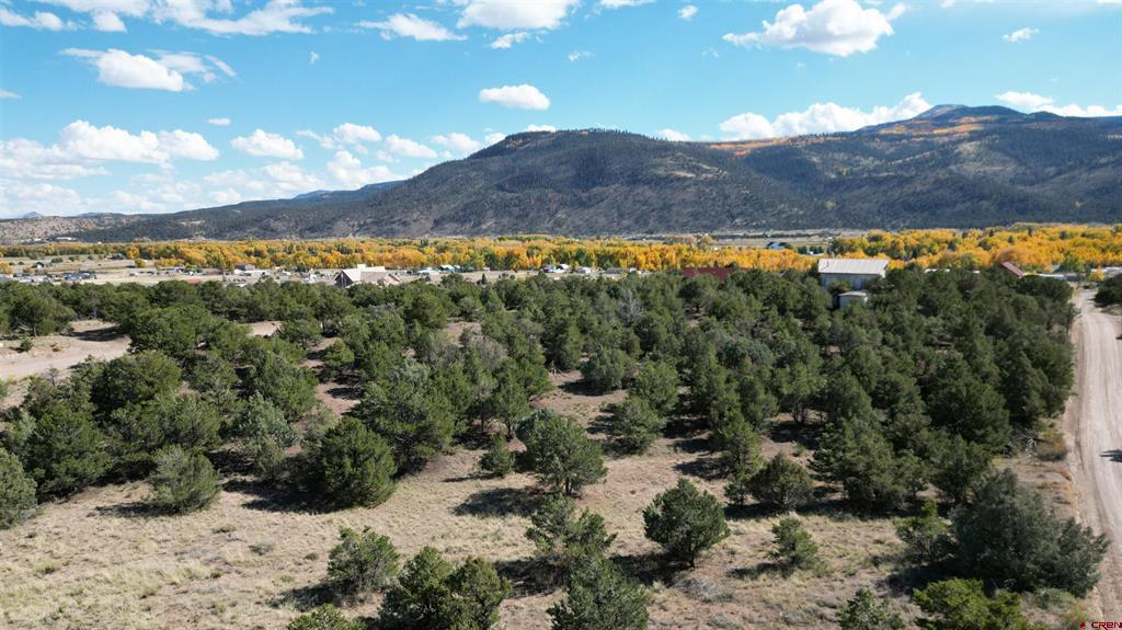 549 Milner Pass Road South Fork CO 81154