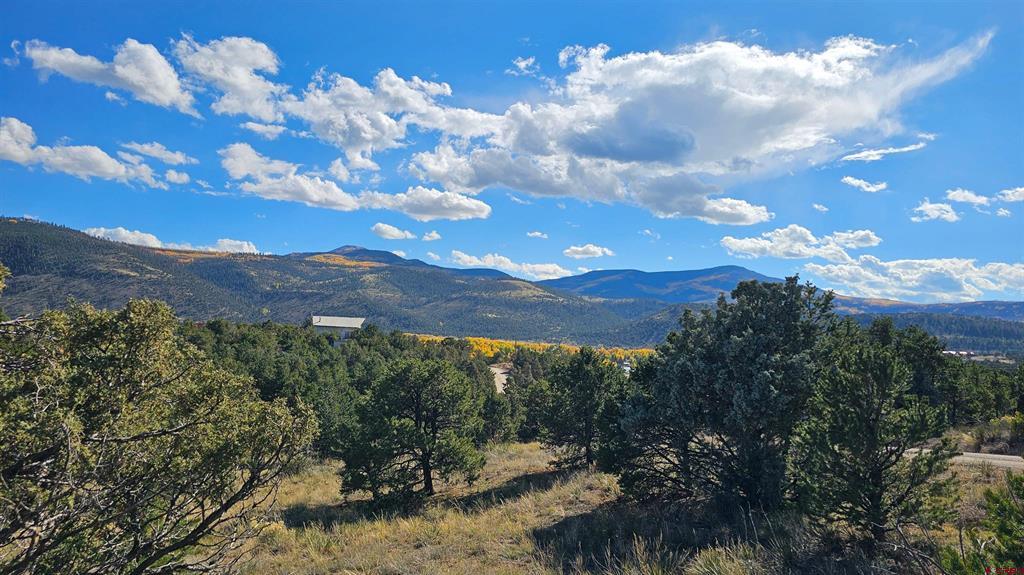 549 Milner Pass Road South Fork CO 81154