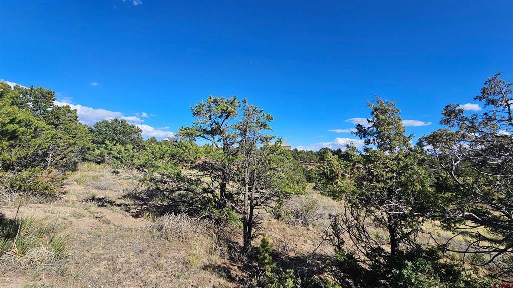 549 Milner Pass Road South Fork CO 81154