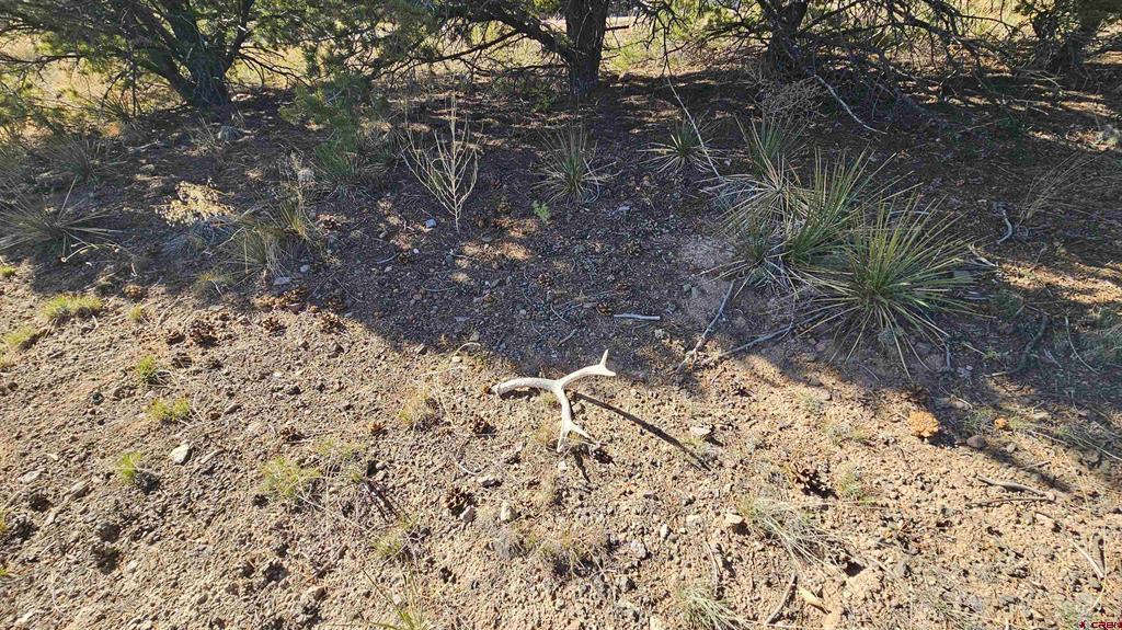 549 Milner Pass Road South Fork CO 81154