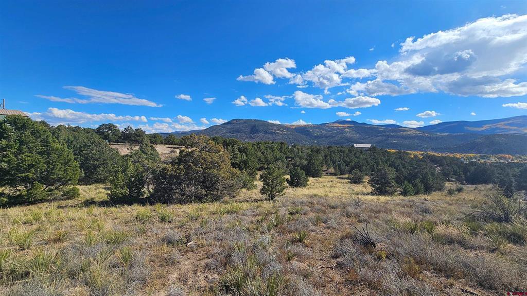 549 Milner Pass Road South Fork CO 81154