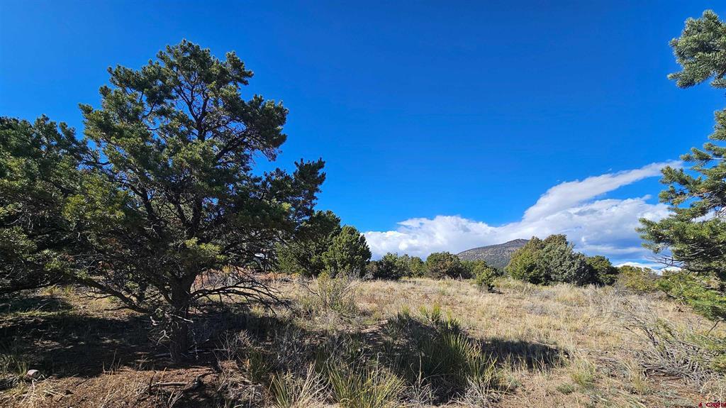 549 Milner Pass Road South Fork CO 81154