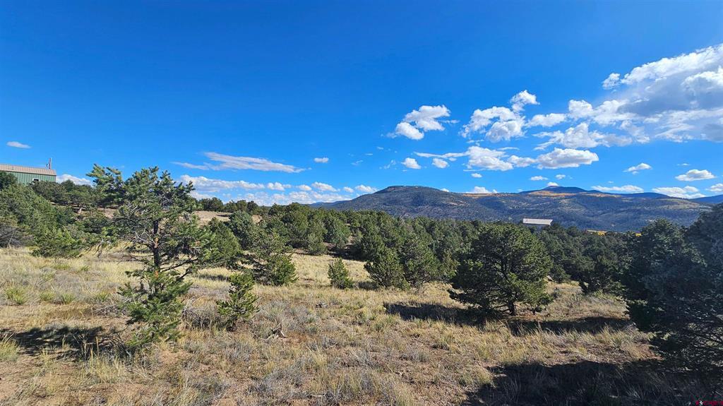 549 Milner Pass Road South Fork CO 81154