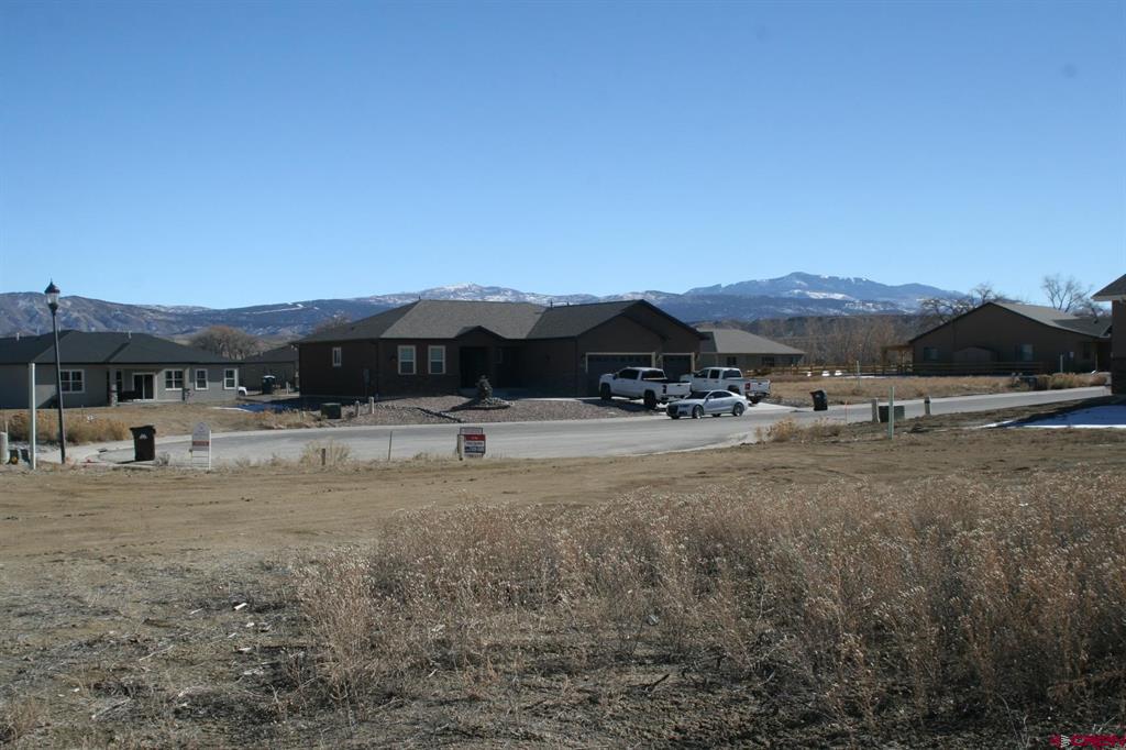 Tbd Mocha Court Montrose CO 81401