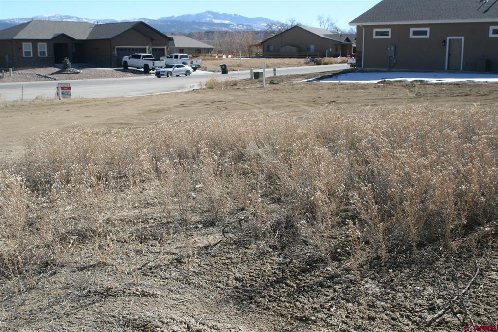 Tbd Mocha Court Montrose CO 81401