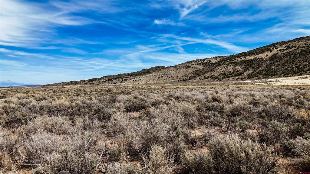 S1/2S1/2NE1/4 14-1-73 Road San Luis CO 81152