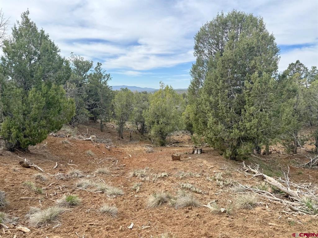 2543 Wrangler Way Durango CO 81303