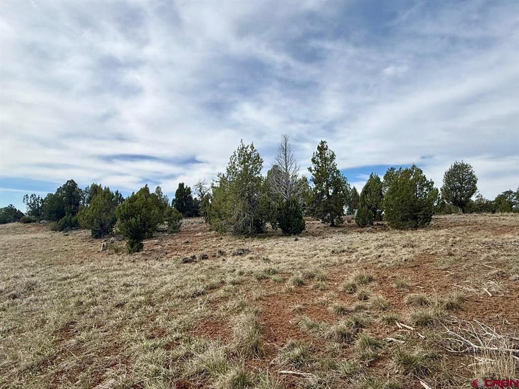 2543 Wrangler Way Durango CO 81303