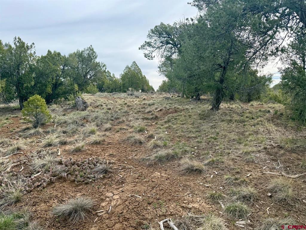 2543 Wrangler Way Durango CO 81303
