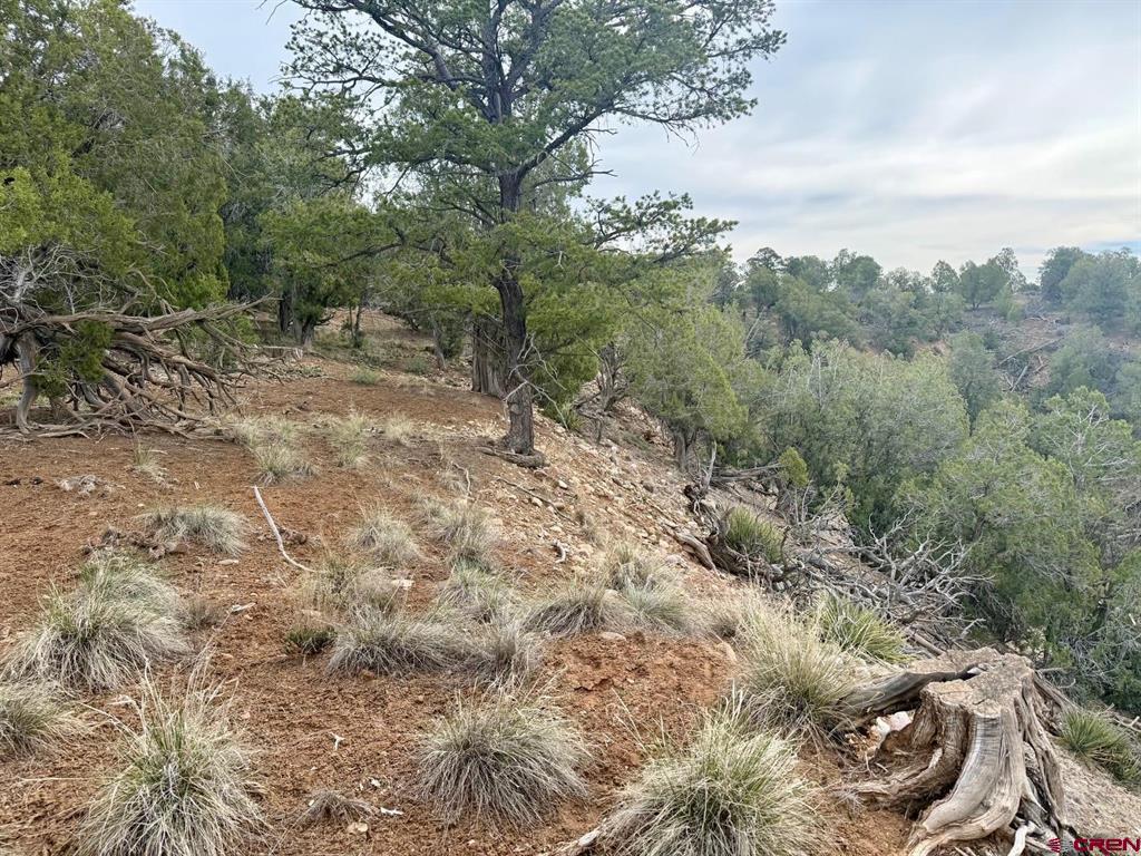 2543 Wrangler Way Durango CO 81303