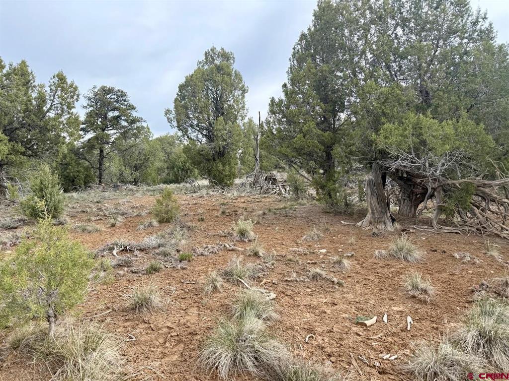 2543 Wrangler Way Durango CO 81303
