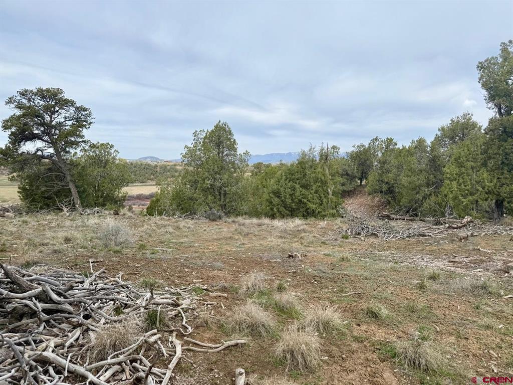 2543 Wrangler Way Durango CO 81303