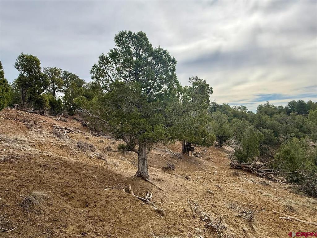 2543 Wrangler Way Durango CO 81303
