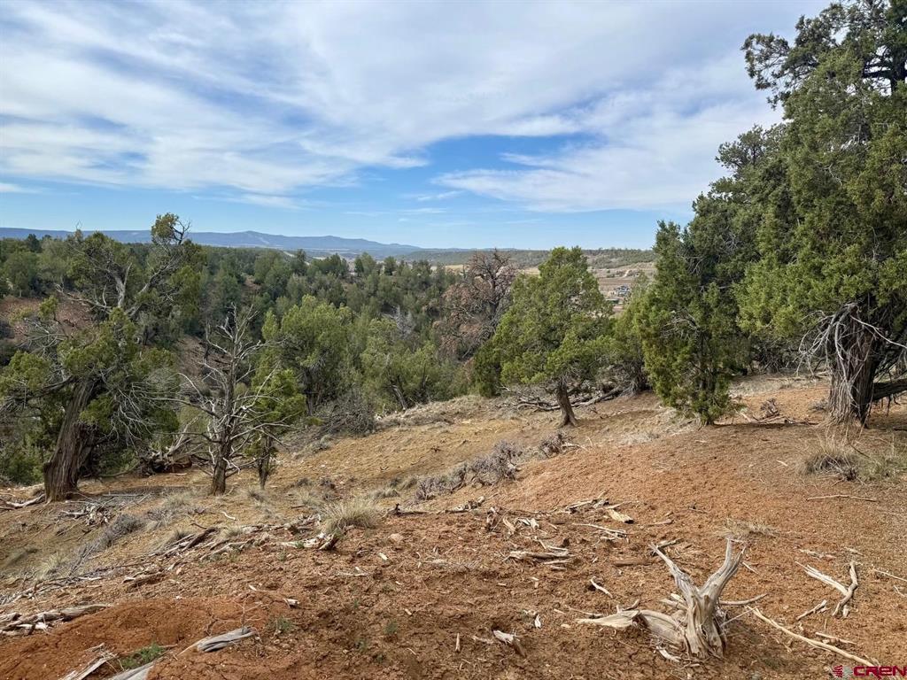 2543 Wrangler Way Durango CO 81303