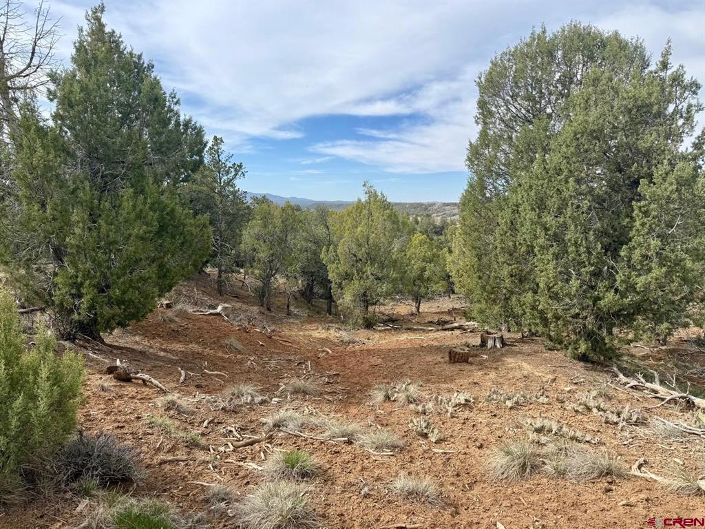 2543 Wrangler Way Durango CO 81303