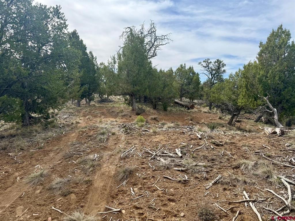 2543 Wrangler Way Durango CO 81303