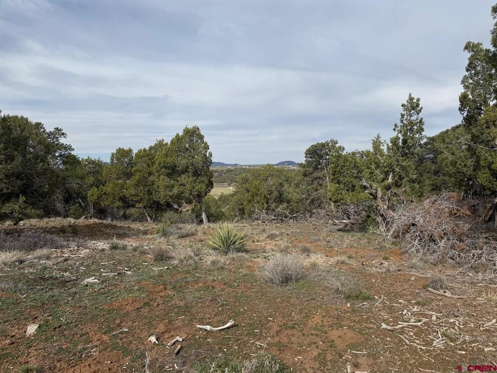 2543 Wrangler Way Durango CO 81303