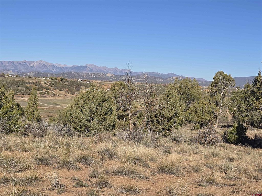 2543 Wrangler Way Durango CO 81303