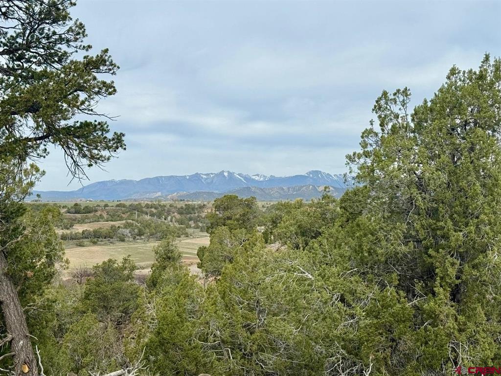 2543 Wrangler Way Durango CO 81303
