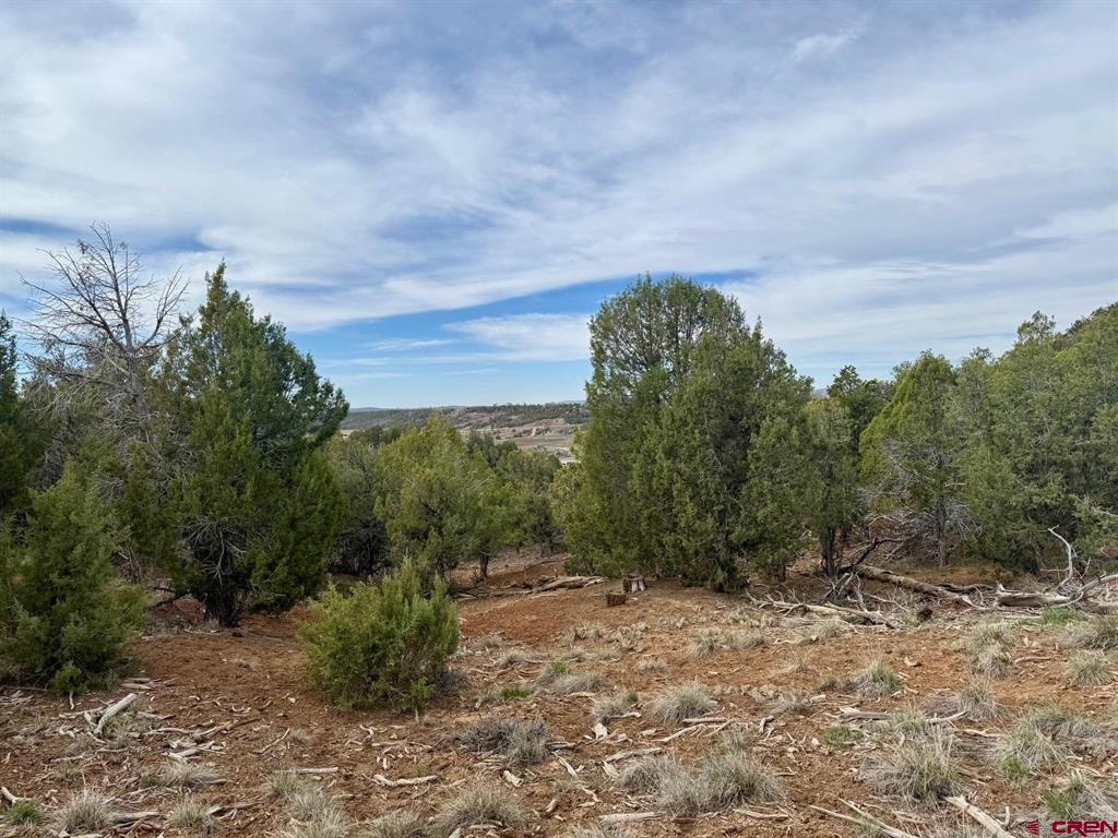 2543 Wrangler Way Durango CO 81303