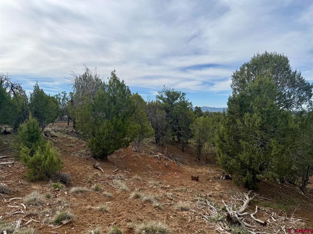 2543 Wrangler Way Durango CO 81303