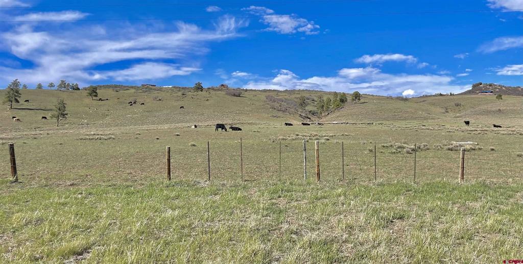 X Us Highway 84 Pagosa Springs CO 81147