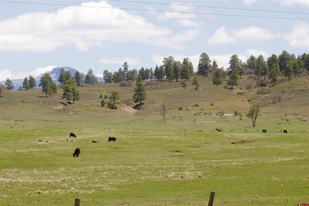 X Us Highway 84 Pagosa Springs CO 81147