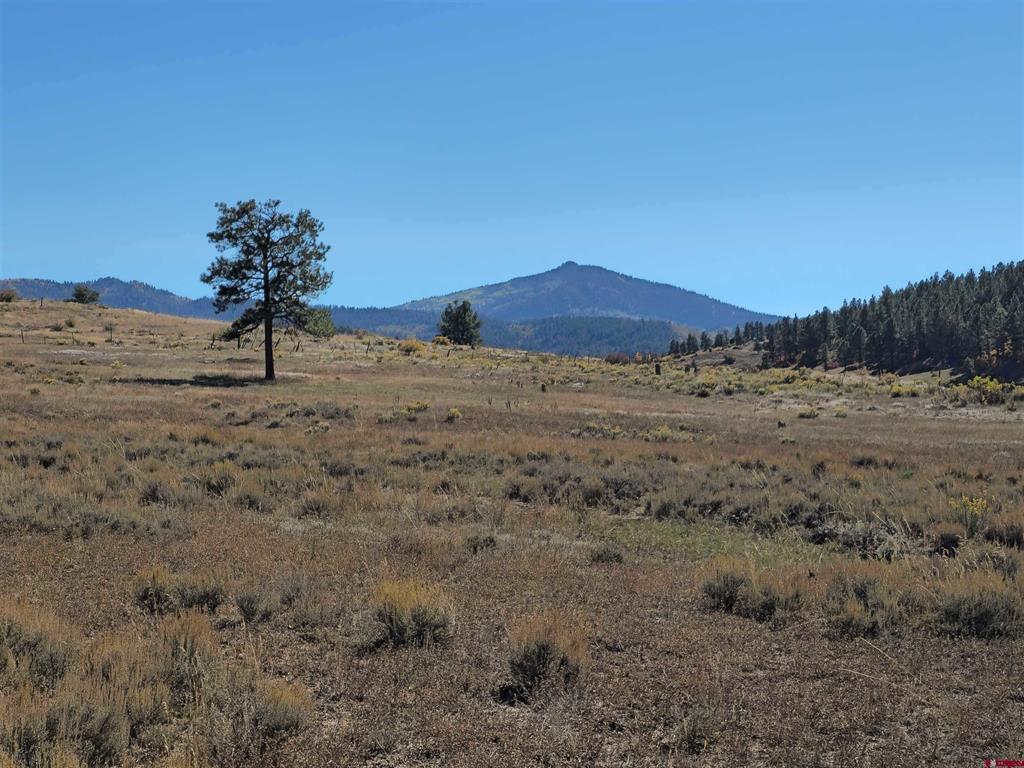 X Us Highway 84 Pagosa Springs CO 81147