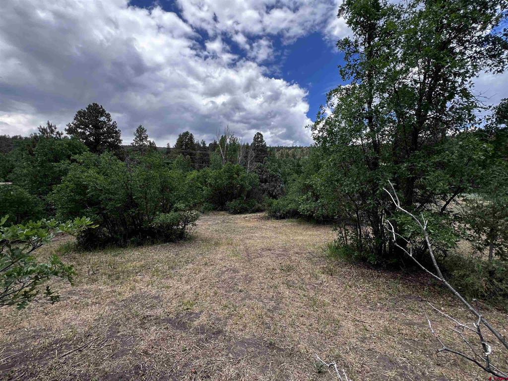 4678 County Road 240 Durango CO 81301