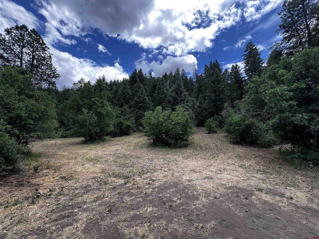 4678 County Road 240 Durango CO 81301