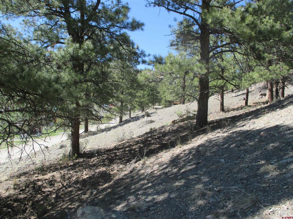 1070 Ocean Wave Drive Lake City CO 81235