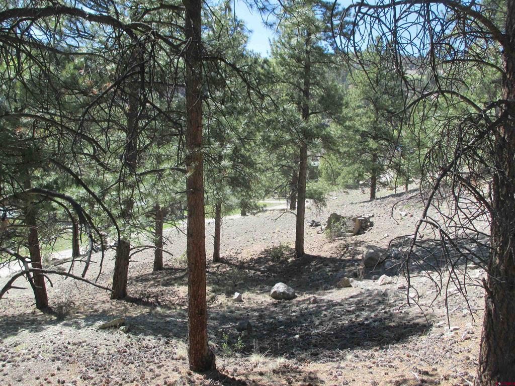 1070 Ocean Wave Drive Lake City CO 81235