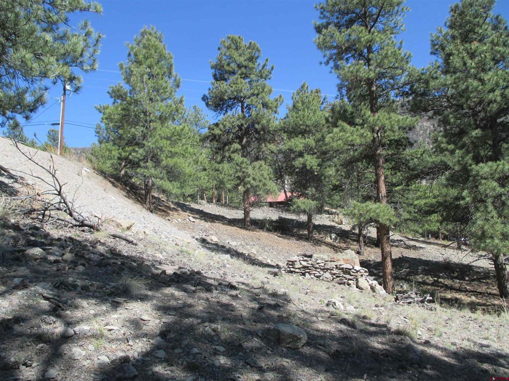 1070 Ocean Wave Drive Lake City CO 81235