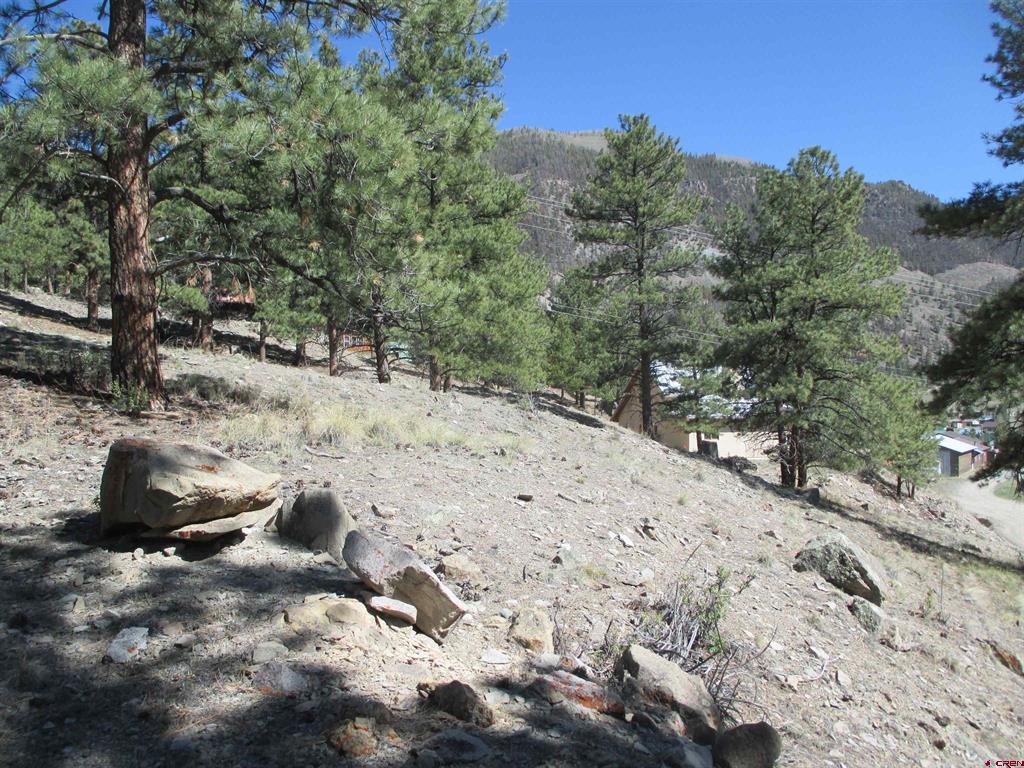1070 Ocean Wave Drive Lake City CO 81235