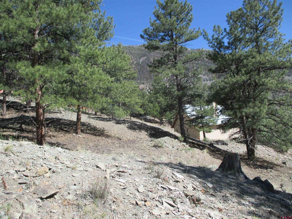 1070 Ocean Wave Drive Lake City CO 81235
